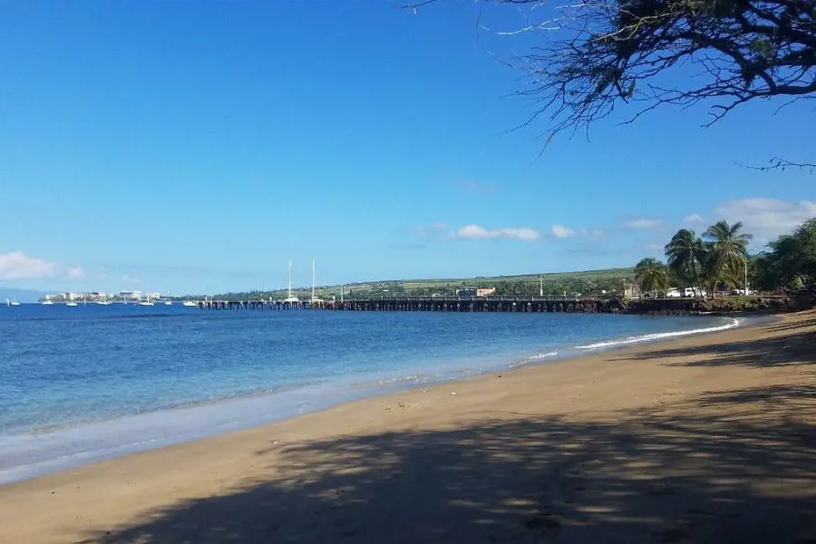 The Baby Beach Lahaina Maui is a perfect spot for snorkelling 