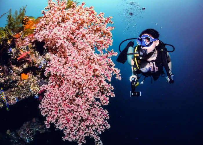 Scuba Diving- The cure for anything is salt water!