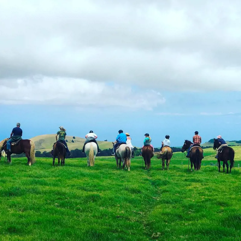 Visitors enjoy horseback riding at Na'alapa Stables, Waimea