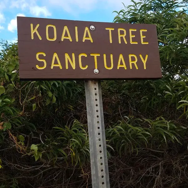 Koaia Tree Sanctuary