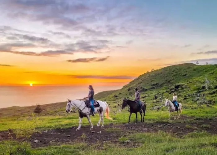 Horseback Rides in Honolulu, Hawaii at Camp Palehua
