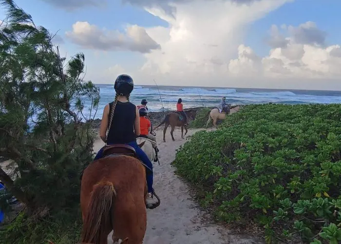 Horseback riding at Turtle Bay Resort