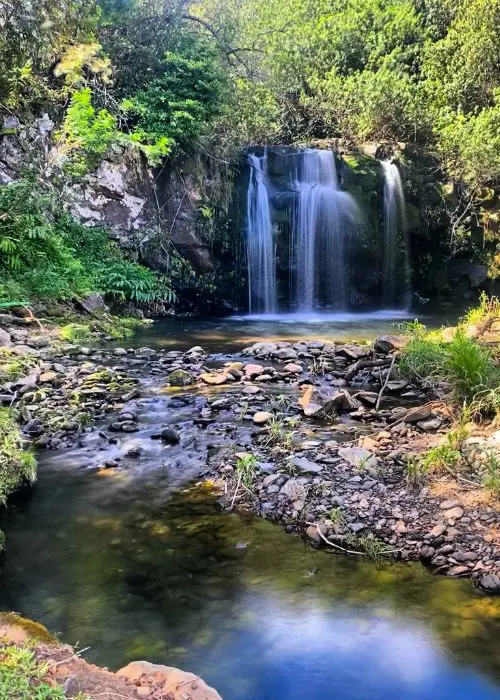 Hawaii Forest & Trail | Kailua-Kona HI