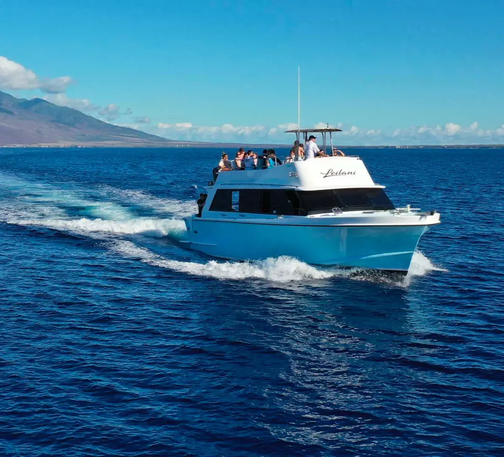 Visitors aboard a boat embrak on a thrilling cruise on the Hawaiian water