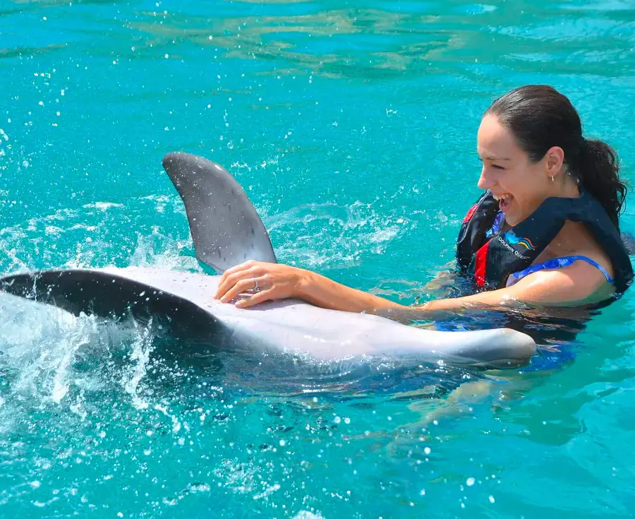 A lady interacting with a playful dolphin in Oahu at the Dolphin Quest premise