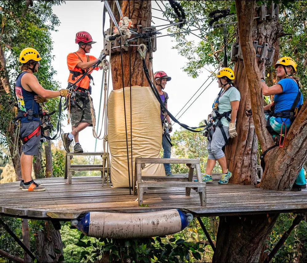 Tourists enjoy a shared moment with each other at a forest canopy of Kohala Zipline