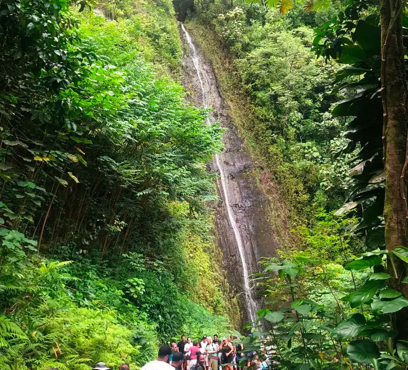 Hikers gather in front of the beautiful Manoa Falls in Honolulu