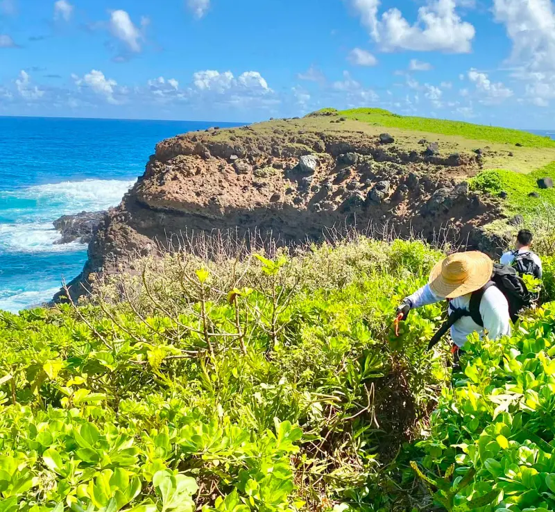 People traveling via a trail at Kalaupapa National Park with the magnificent cliffs in the background