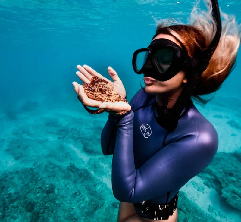 A suba diver shows a sea creature resting on her palm