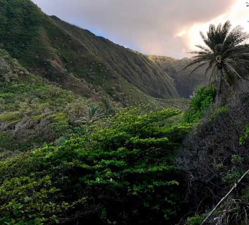 The amazing landscape of Kalaupapa National Historical Park coverd with greenery