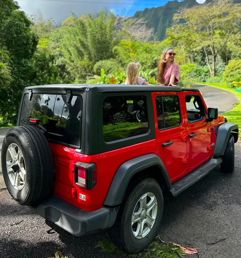 Travelers in a red & black car stopping by the countryside road in Hawaii