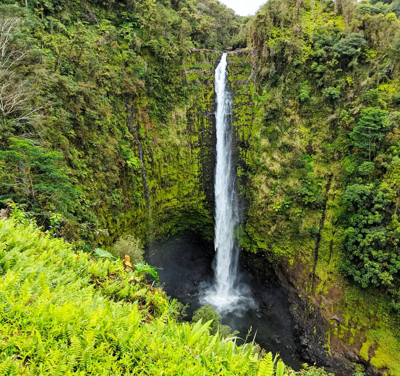 A wide-angle shot of the secluded Akaka Falls, North of Hilo, Hawaii