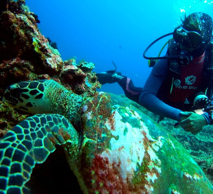 A deep sea diver swimming alongside a green sea turtle in Hawaiian waters