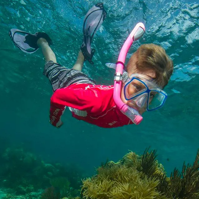 A young boy wearing snorkel gears exploring the marine life in Hawaiian waters