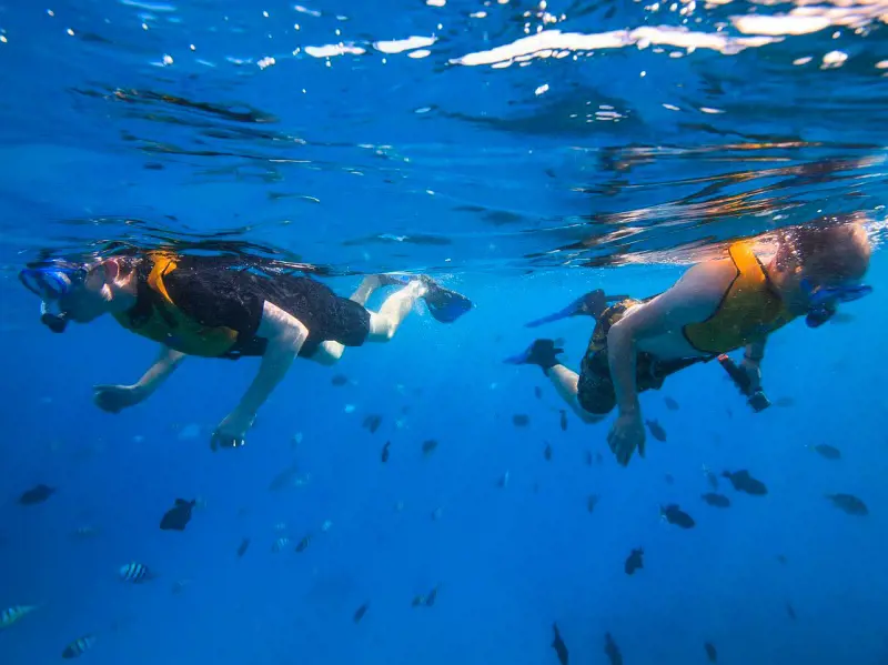 Two divers snorkeling at Turtle Canyon and watching the marine animals