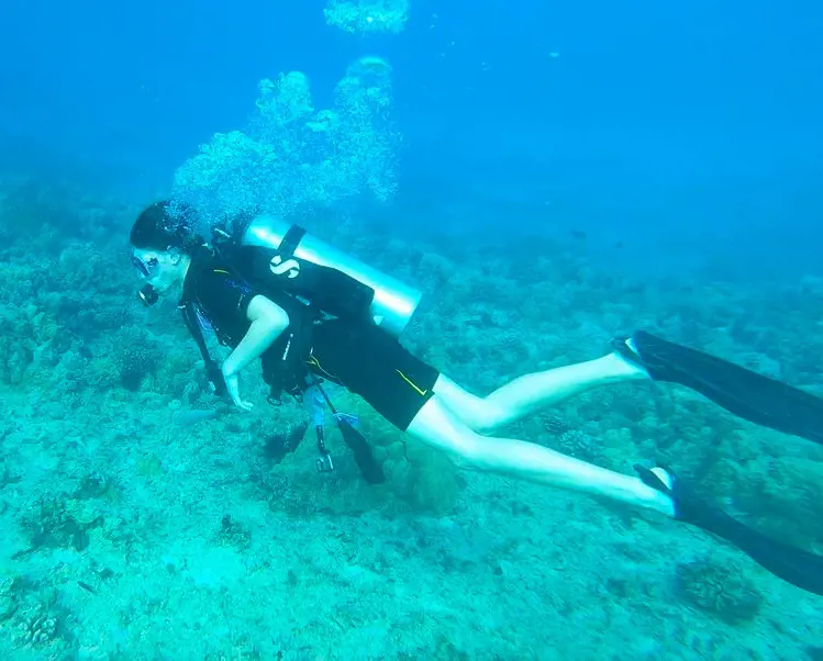 A person gets on scuba diving adventure in the Hawaiian waters
