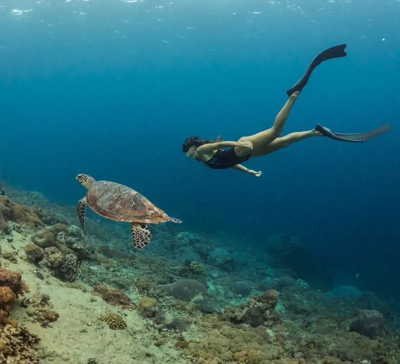 An experienced scuba diver swimming alongside a green sea turtle in pristine waters