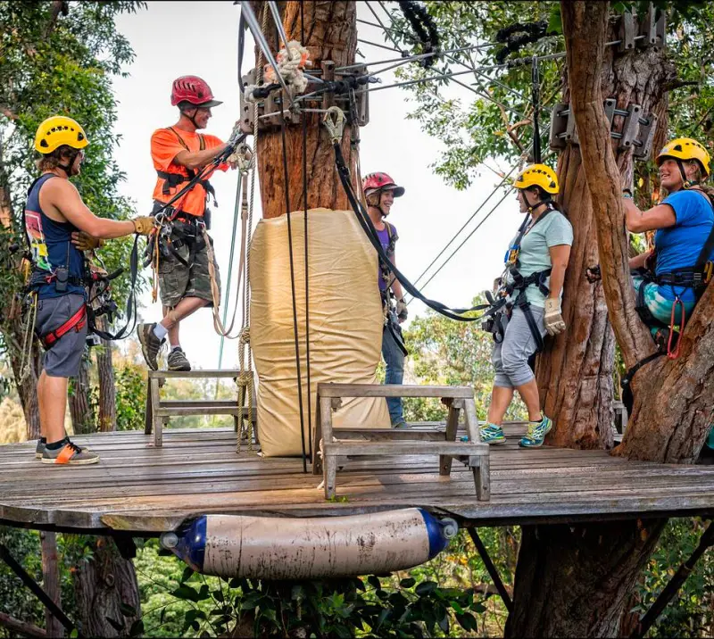 People enjoying a shared moment with each other at a forest canopy of Kohala Zipline