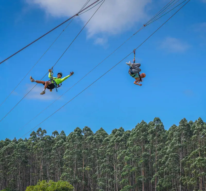 Feel the adrenaline pumping with this thrilling ziplining adventure with The Umauma Experience