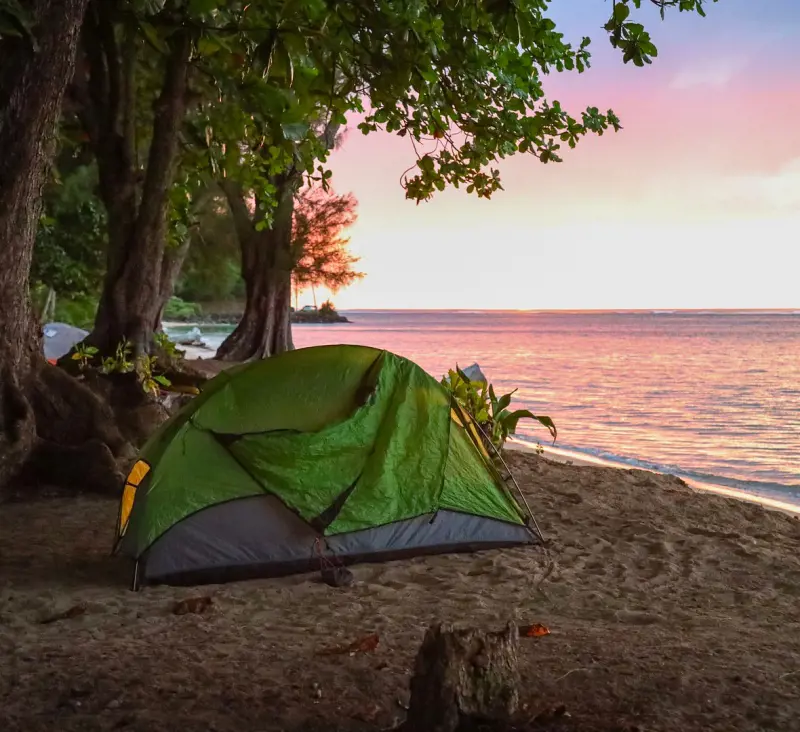 A tent set up by the beachside at the exotic Anini Beach Park Campground