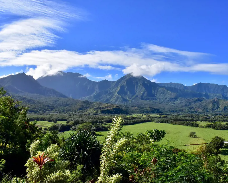 A lush and scenic natural landscape of Kauai as observed from Hanalei Valley Lookout