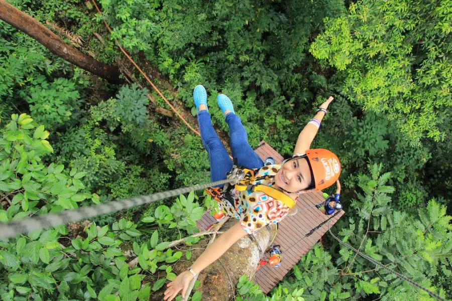 Ziplining & ariel activities with Umauma Falls 4-Line