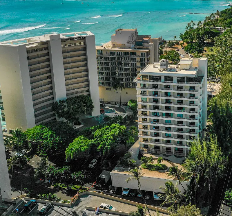 Lotus Honolulu at Diamond Head tucked away from the hustle and bustle offers a magnificent view of Waikiki