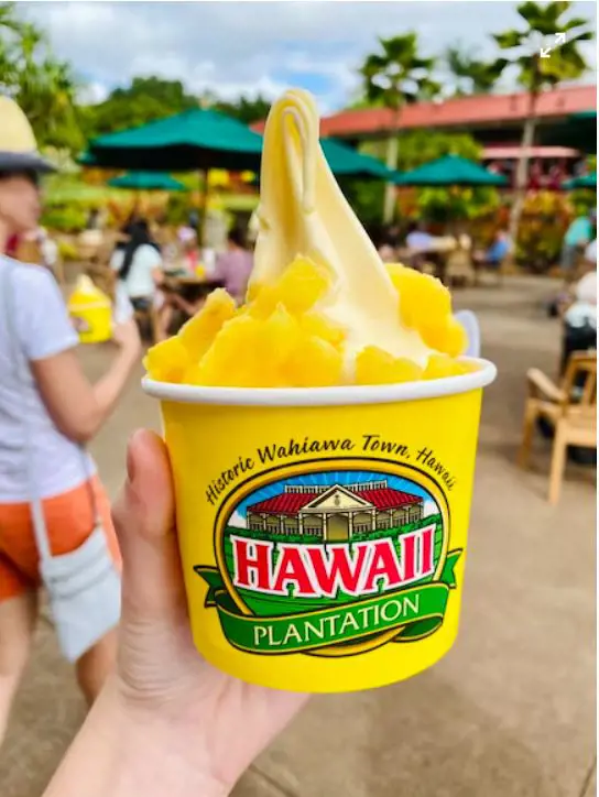 When in Hawaii, do not forget to visit Dole Plantation to taste the ripe tropical Pineapple